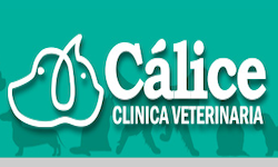 Calice veterinaria